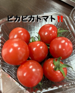 C1BBEEDA-755A-4EC7-ADF9-A775AE7E71F5.jpg